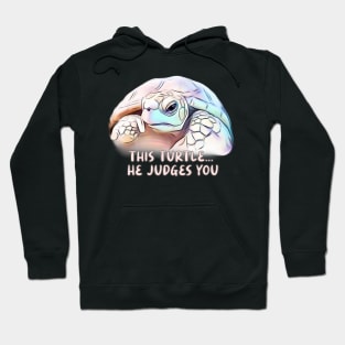 This Turtle, he judges you Hoodie